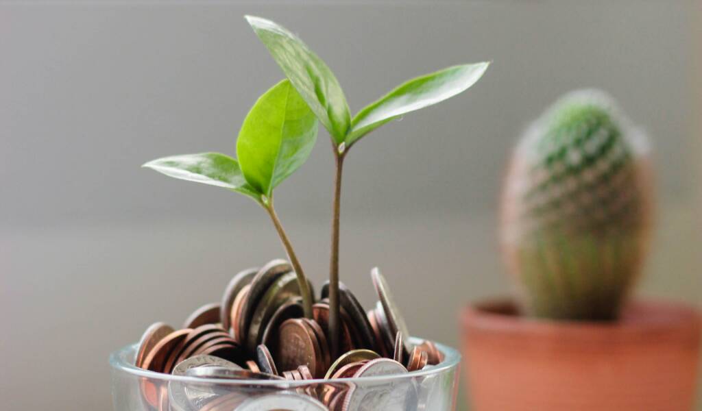 A plant grows from soil made of coins, referring to monetary growth.
